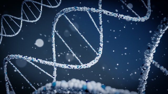 Gene Expression Market to Witness Strong Growth Over 2022-2026 