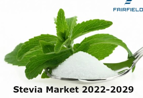 Stevia Market is Poised to Reach US$1,621 Mn By 2029, at a Healthy Growth of 9.6%