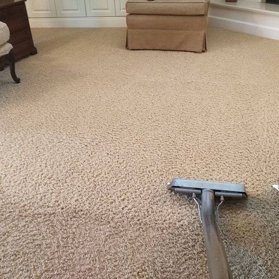 Method by which you can remove stain from carpet is to use dish soap here are the steps to do so