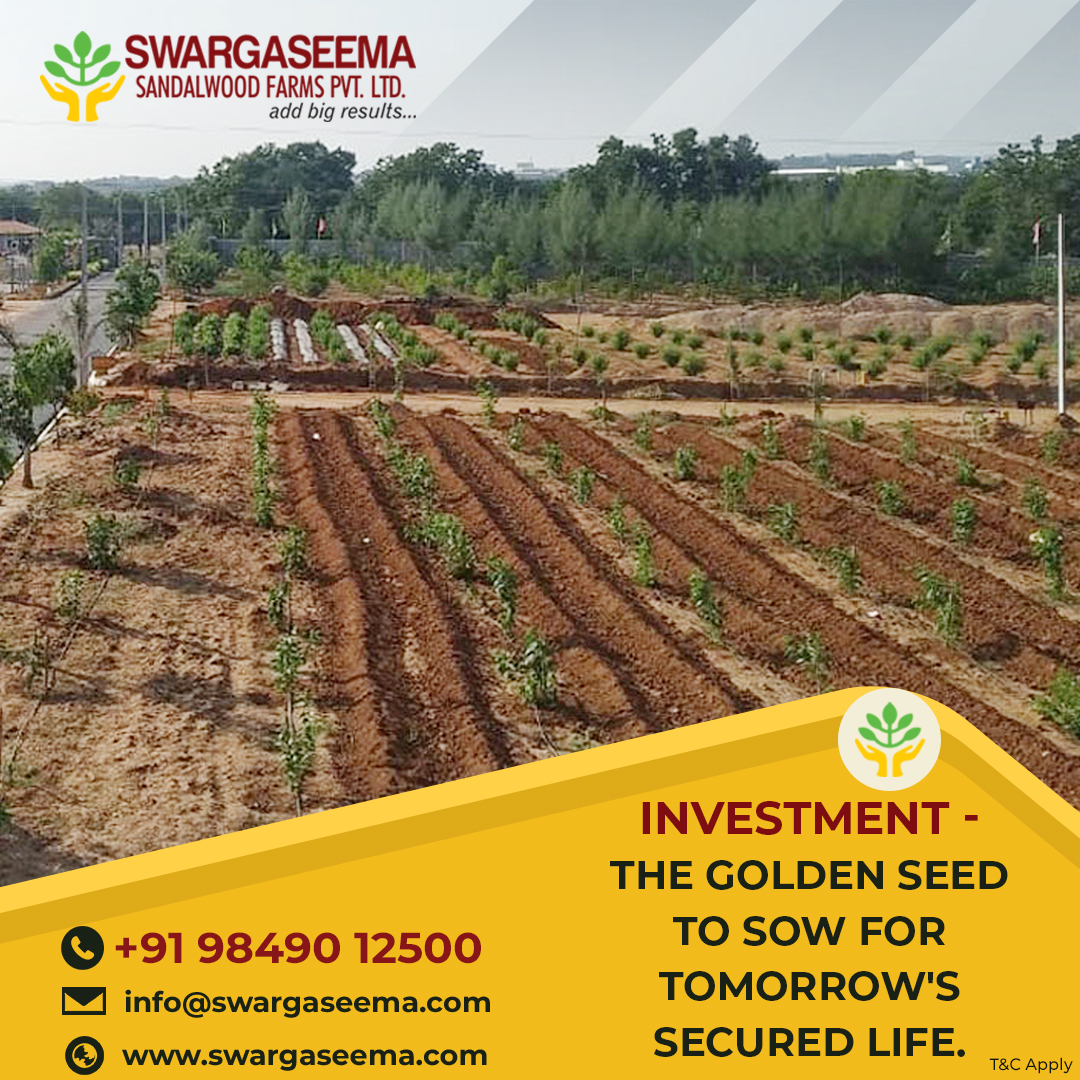 What are the lucrative investment options available in Hyderabad?