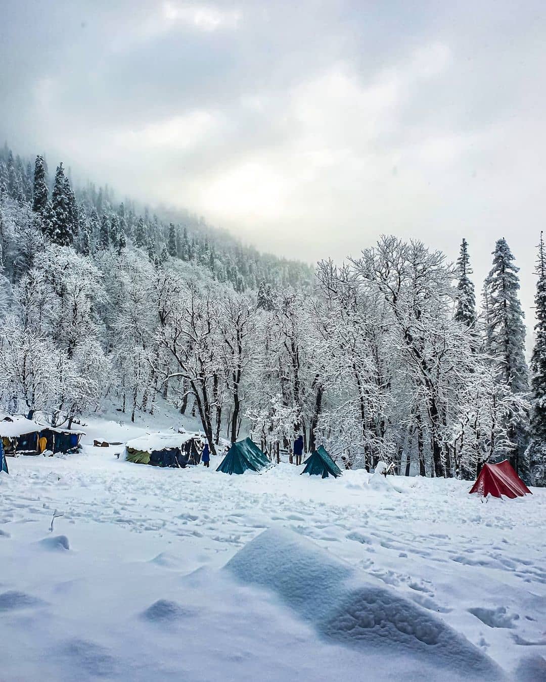 Kedarkantha Trek - 2021