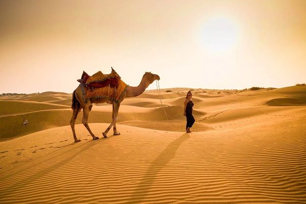 A Comprehensive Checklist for a Camel Safari in Jaisalmer