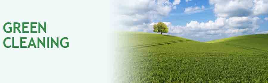 Hire The Best Carpet Cleaning Service In Decatur, Georgia