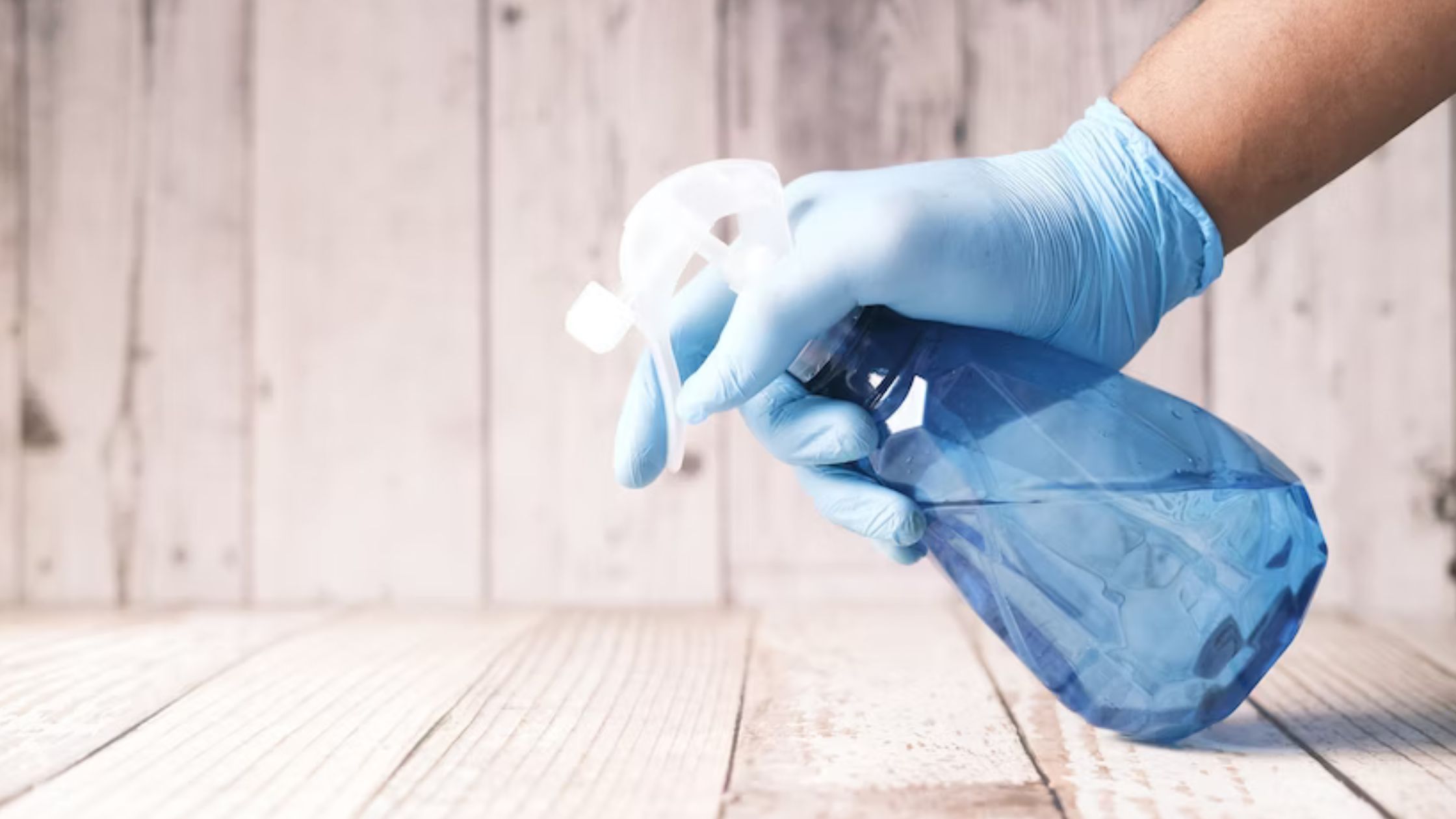 The Essential Guide to Carpet and Rug Cleaning: Processes and Best Practices