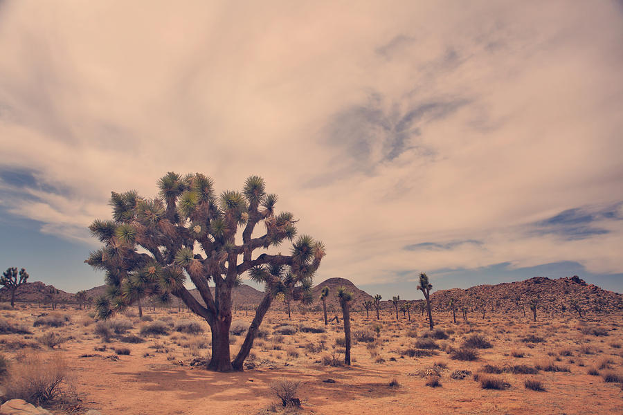 BRINGING YOU THE BEST OF HOME DECOR