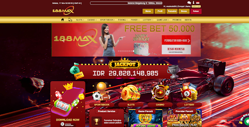 How to play cricket ?