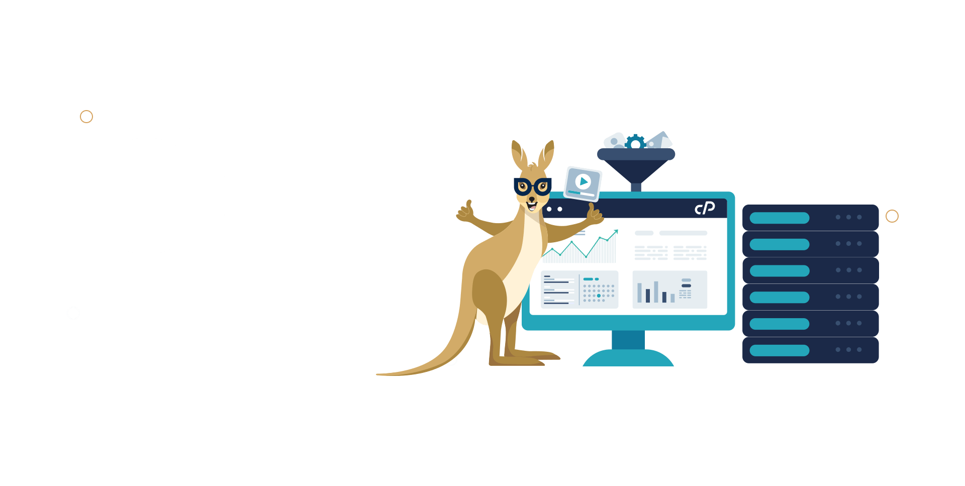 Fast cPanel Web Hosting Services | Australian Company | Hostaroos