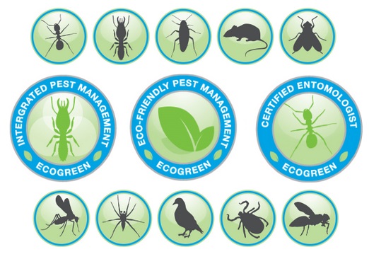 What is Eco green Pest Management in Coconut Creek and how it's actually work's?