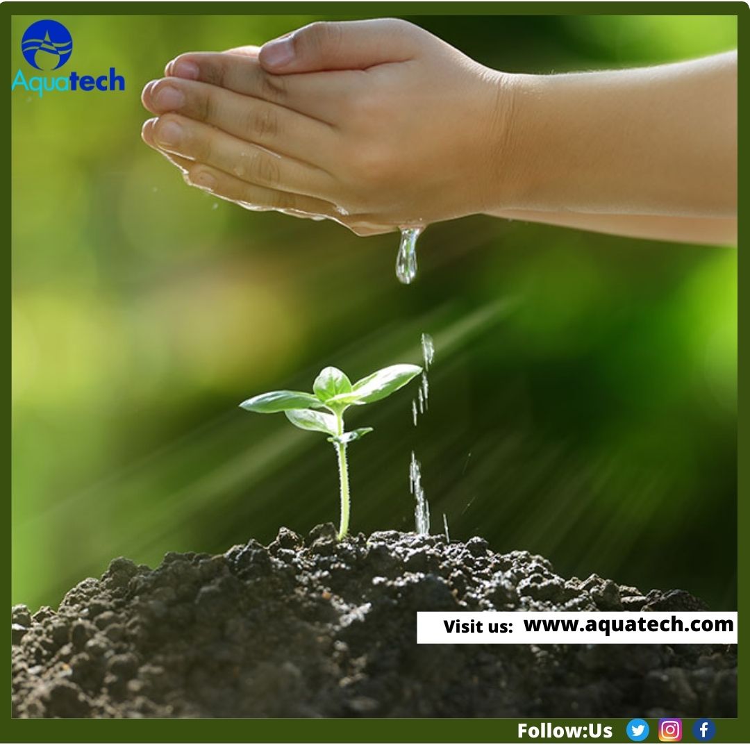 Five Misconceptions about Biological Wastewater Treatment