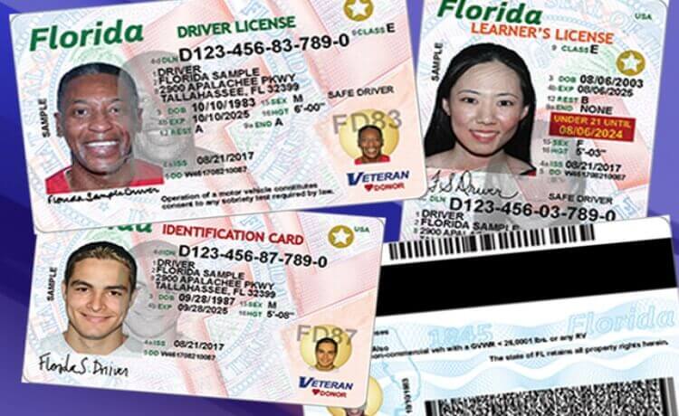 How to Make a Fake Id and fake Drivers License