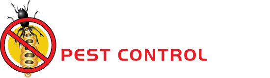 Commercial Pest Control in Melbourne | Bayswater pest control 