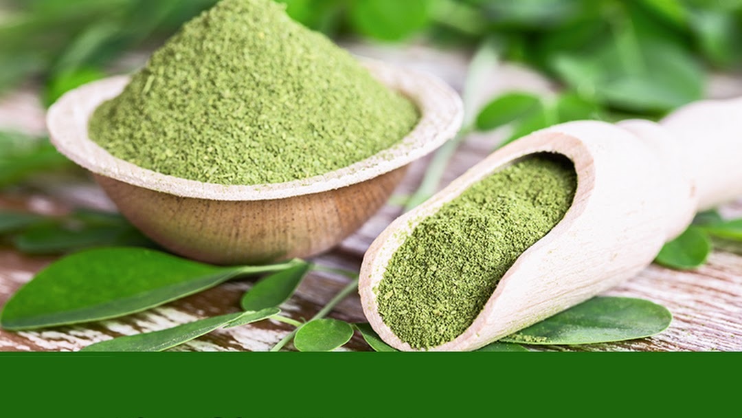 How to Find Moringa Powder in Pakistan?