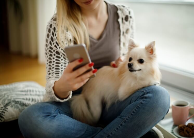 Pet Sitter App Development: 4 Influential Lessons To Learn From Pawshake & PetBackers