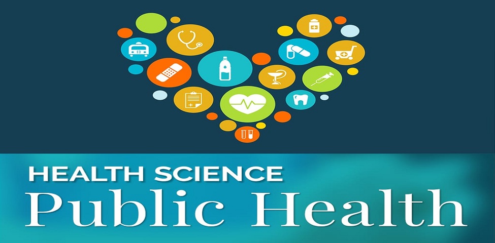 Assignments help London - Public Health