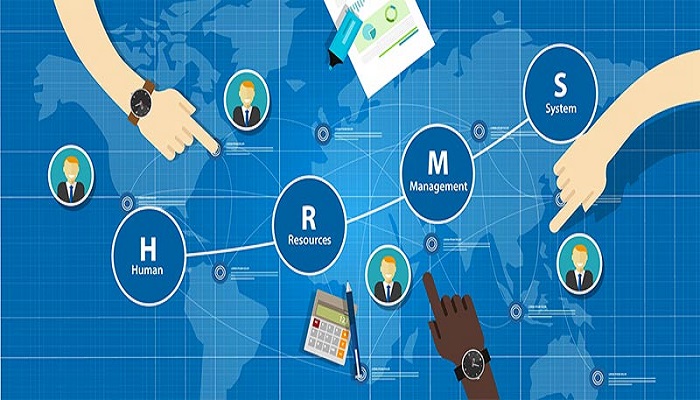 Your Guide to Choosing the Right Human Resource Management System