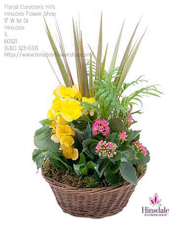 Hinsdale Flower Shop