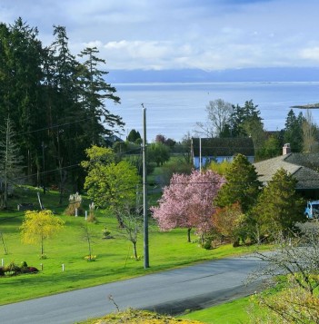 Waterfront Property For Sale Victoria