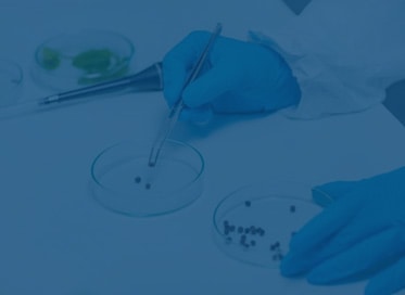 Genetic Risk Evaluation & Testing Program in El Paso, Texas