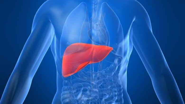 5 Ways Stem Cell Treatment Can Help with Liver Disease