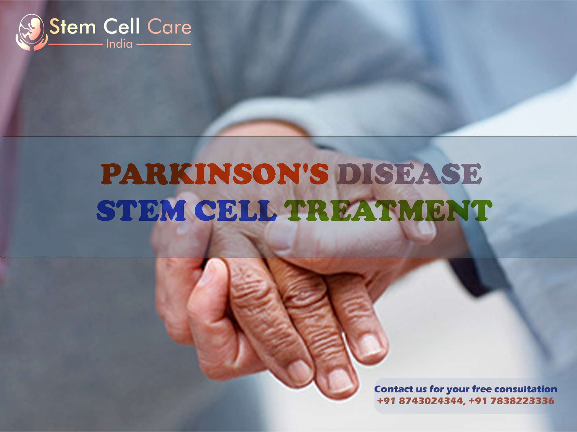 What are the Causes of Parkinson’s Disease?