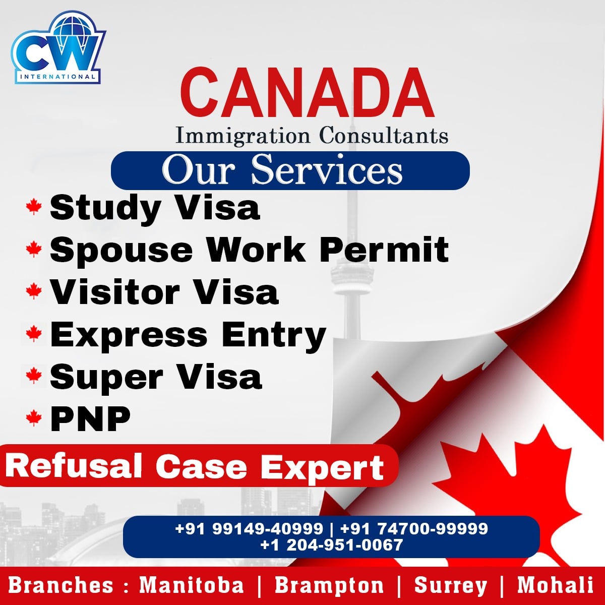 Best immigration in india