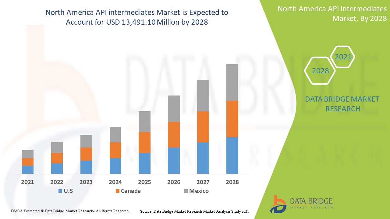 North America API intermediates Market Expected Development, Share, Size, Demand, Revenue And Forecast 2028