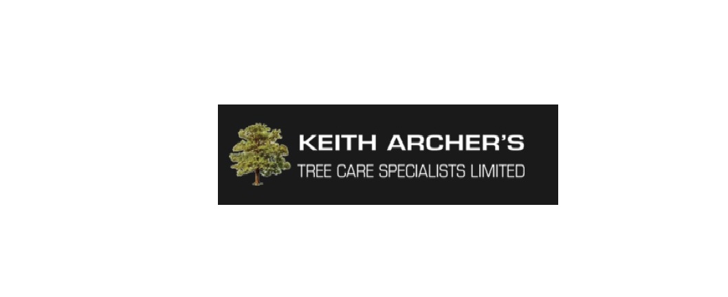 Tree Surgeons Southend
