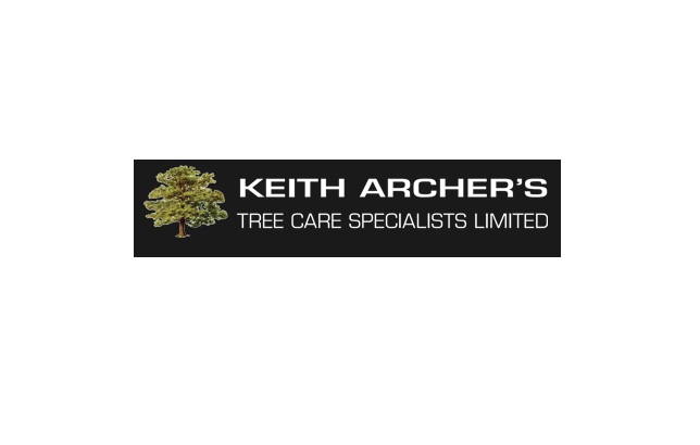Tree Surgeons South London