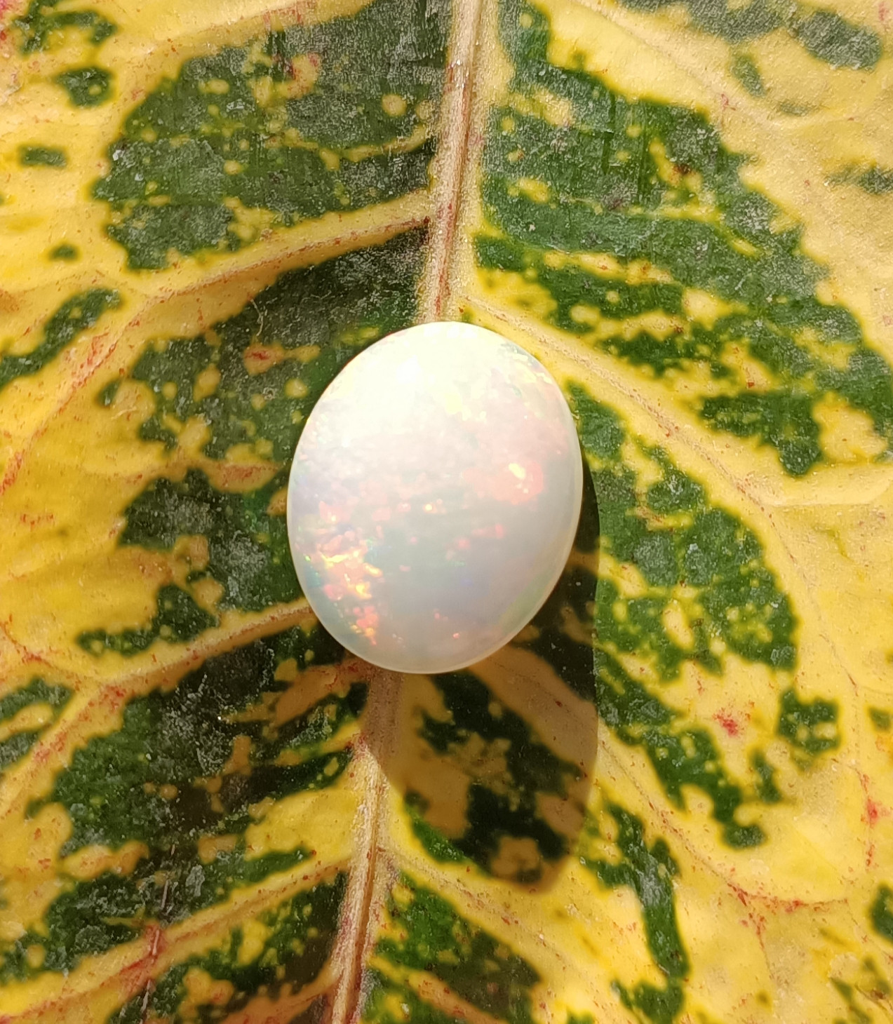 Moonstone labradorite an  opal 3 gems for an entirely happy life