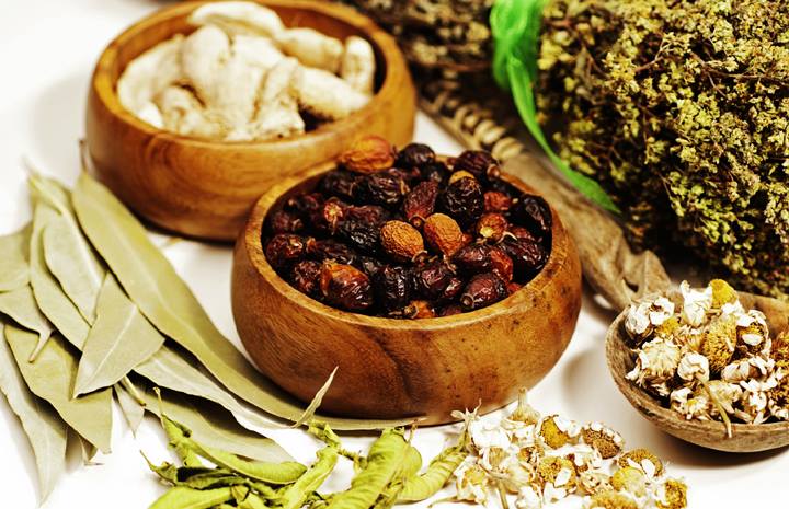 Natural Remedies for Treating Rectal Prolapse with Herbs