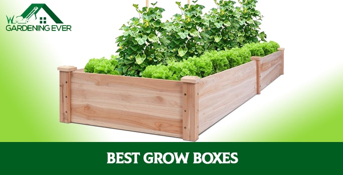 The 10 Best Grow Boxes of 2021 Review and Buying Guide