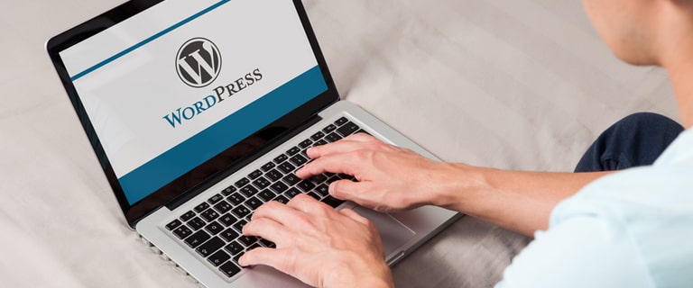 How to Become A WordPress Developer