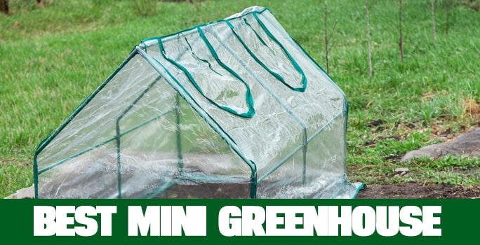 Best Mini Greenhouse In 2021 (Review & Buying Guide)