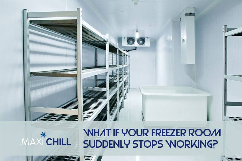 Search Best Quality Freezer Room In Gold Coast