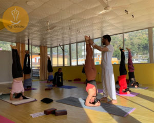 yoga school in Rishikesh