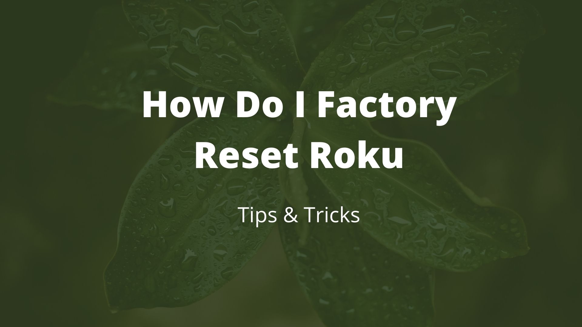 How Do I Factory Reset Roku