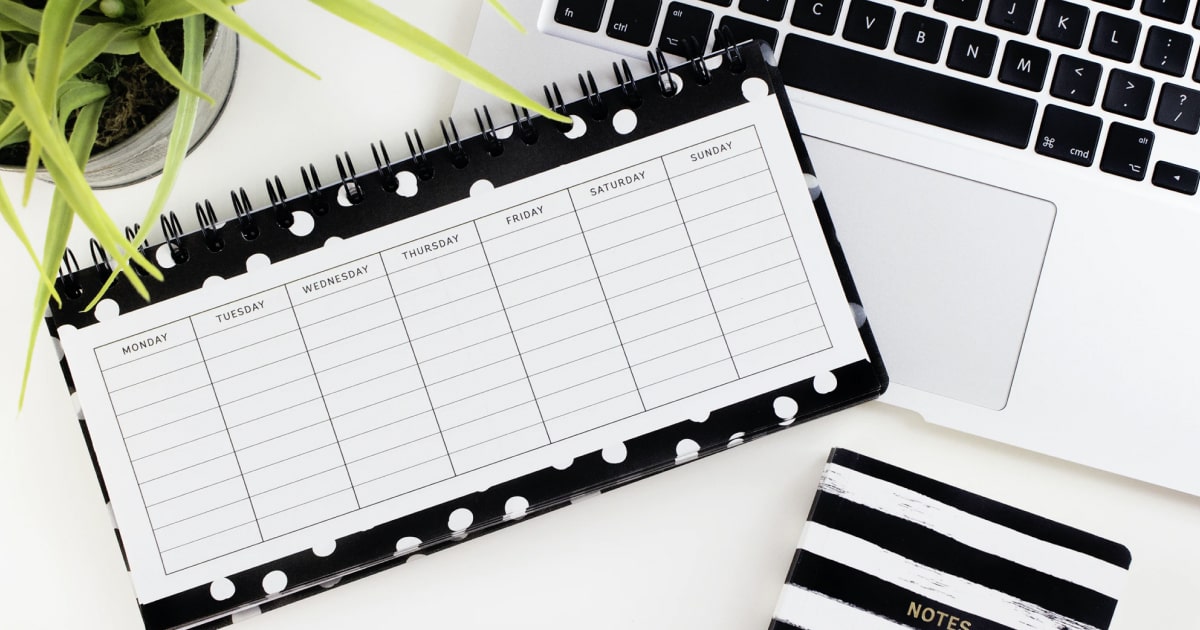 Project Management Steps that Should Be Taken for Successful Project Launch – XB Software