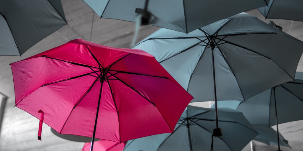 Why Custom Software Surpasses Off-The-Shelf Option - XB Software