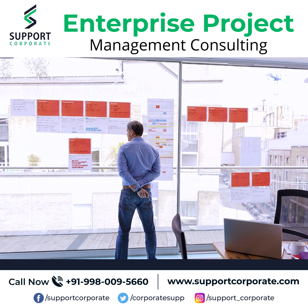 Enterprise Project Management Consulting