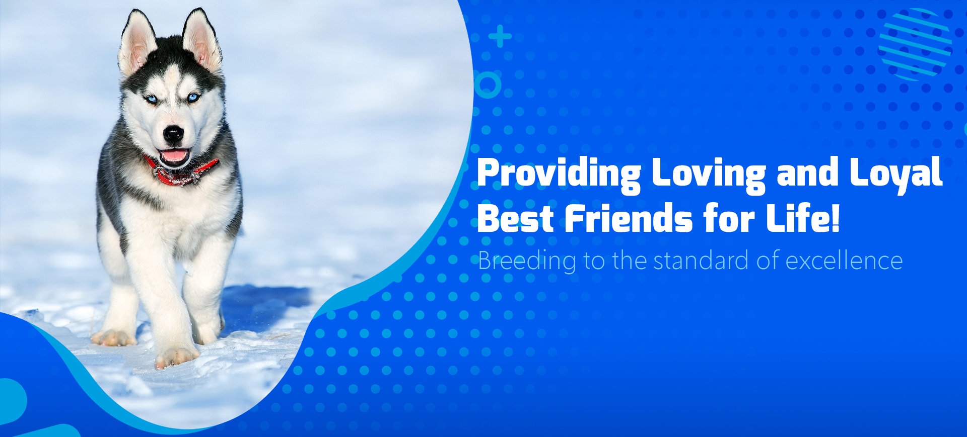 Jesse B. Esch Professional Dog Breeder of Clay Center, KS