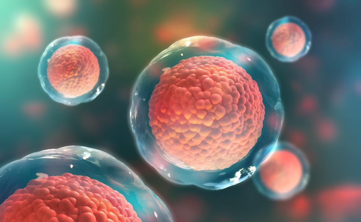 Stem Cells Market,2020 - 2027