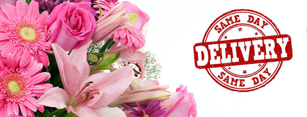 Send Flowers to your loved ones