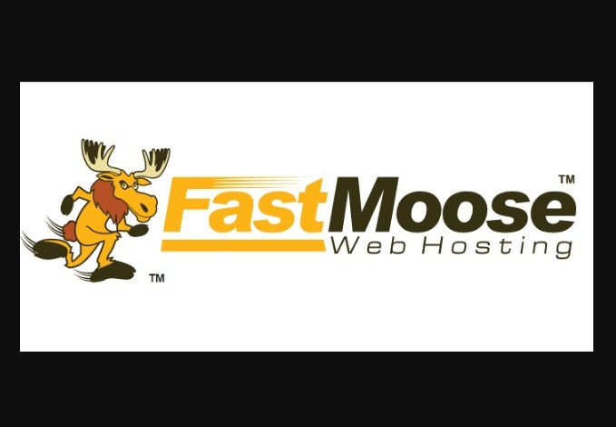 What to Look in your Web Hosting?