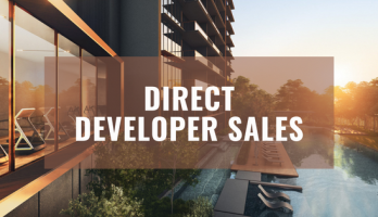 Top Real Estate Secrets