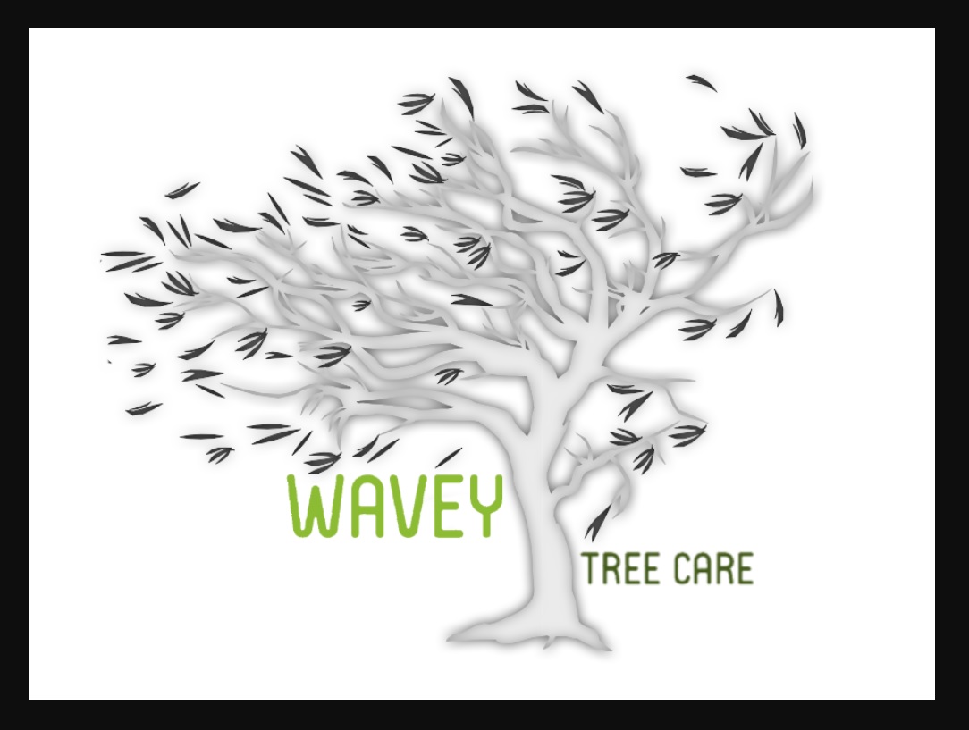 Why Hire an Arborist?