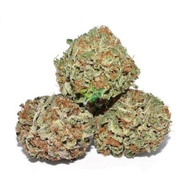Leading 5 Guidelines To locate The best Excellent MARIJUANA ONLINE