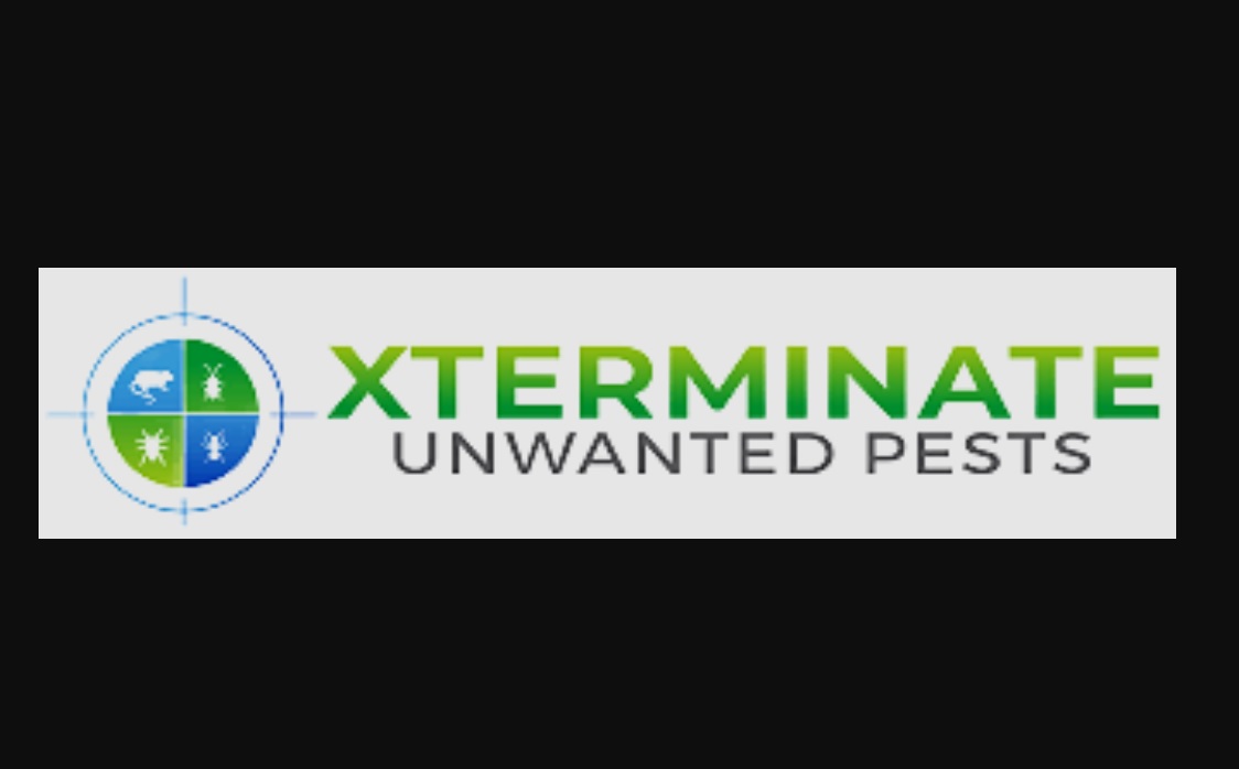 3 Signs You Need Expert Pest Control Services