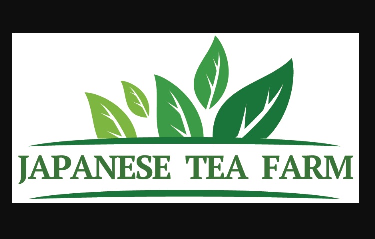 The Unique Types of Japanese Green Tea Explained