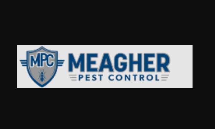 Pest Control for the Home: Straightforward and Successful Solutions