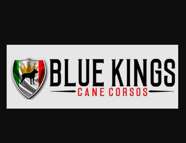 What You ought to Know Concerning the Cane Corso